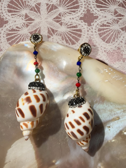 Tiger Shell earrings