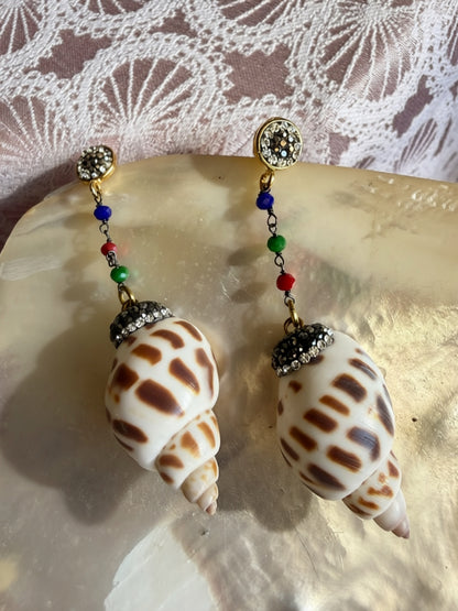 Tiger Shell earrings